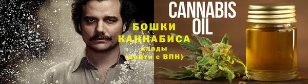 молекула духа Касимов