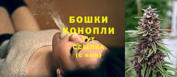 молекула духа Касимов