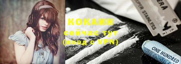 молекула духа Касимов