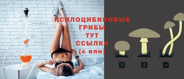 молекула духа Касимов