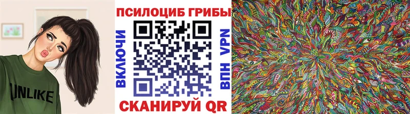 Купить Тогучин Псилоцибиновые грибы прущие грибы